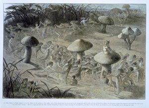 An Elfin Dance by Night, Illustration from 
